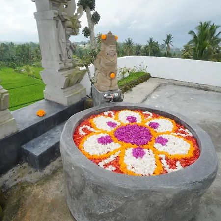 The Alugara Suite & Spa
